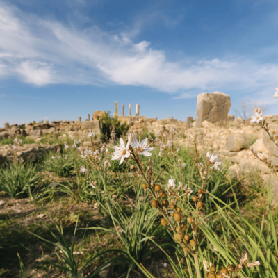 viaggiopermarocco (45)
