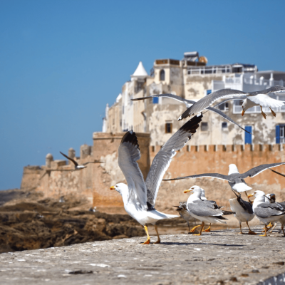 viaggiopermarocco (82)