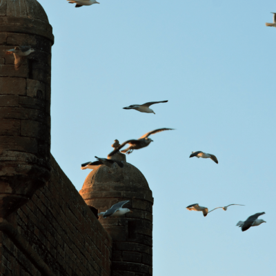 viaggiopermarocco (88)